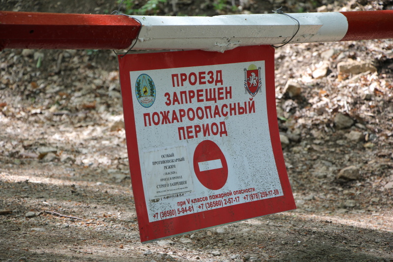 В Крыму продлили ограничение на посещение лесов