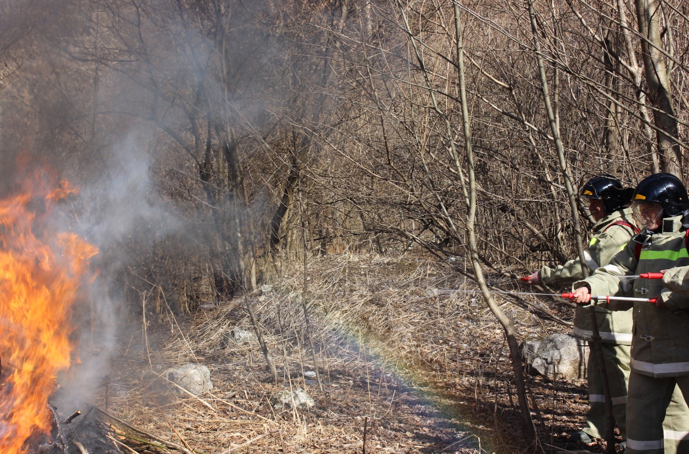 В Карачаево-Черкесии в рамках реализации национального проекта «Экология» федерального проекта «Сохранение лесов» приобретена 21 единица новой лесопожарной техники