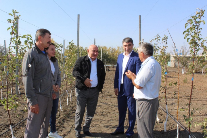 Карачаево-Черкесию посетили члены Правительства Северной Осетии с целью обмена опытом по выращиванию мини-садов интенсивного типа