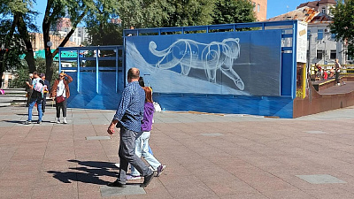 Самое большое граффити леопарда начали создавать в центре Владивостока