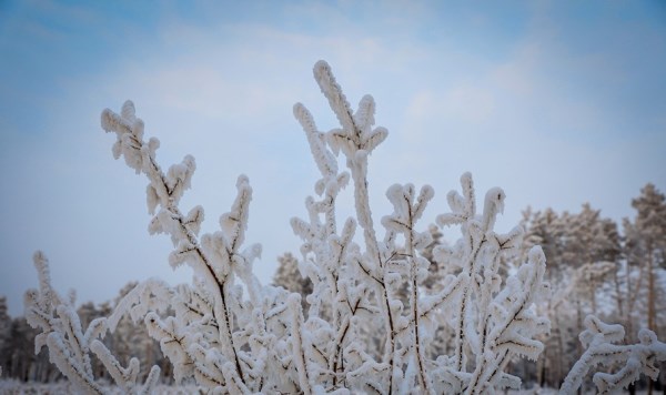 В Якутии зафиксировали температуру в - 62 градуса