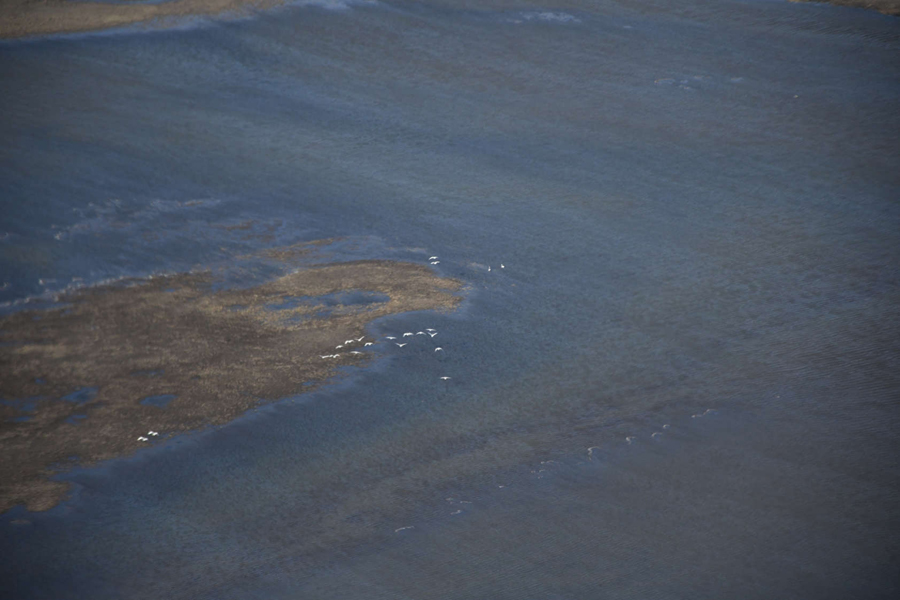 Реку Далдыкан окрасил сезонный размыв береговых грунтов талыми водами