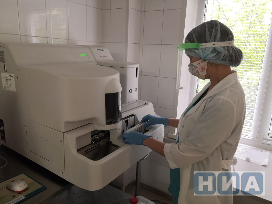 Ученые из Новосибирска первыми в России выделили антитела против коронавируса