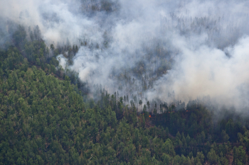 Ситуация с лесными пожарами в Красноярском крае находится под контролем