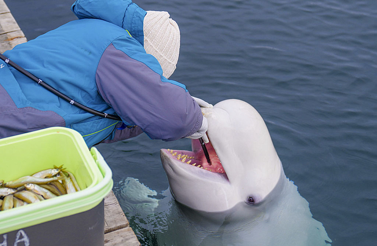 x20nlvrbejzx7fmd5wf0xcugvhb8biym