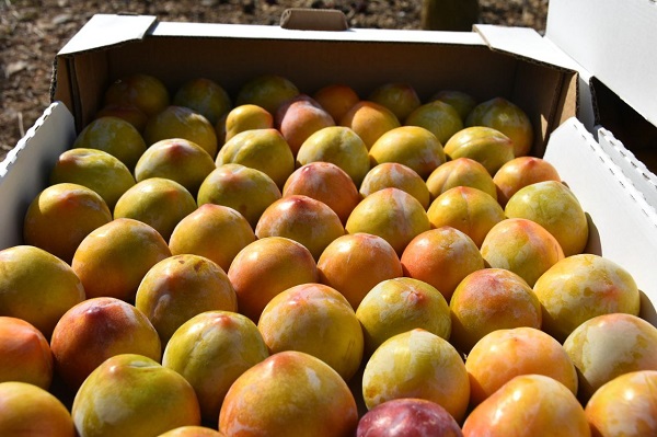 photo 2023 09 12 19 30 47