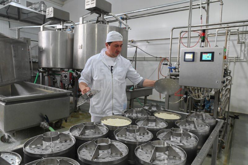 photo 5199796006689037805 x