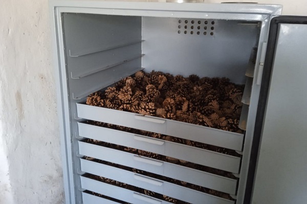 photo 2024 02 02 18 45 11